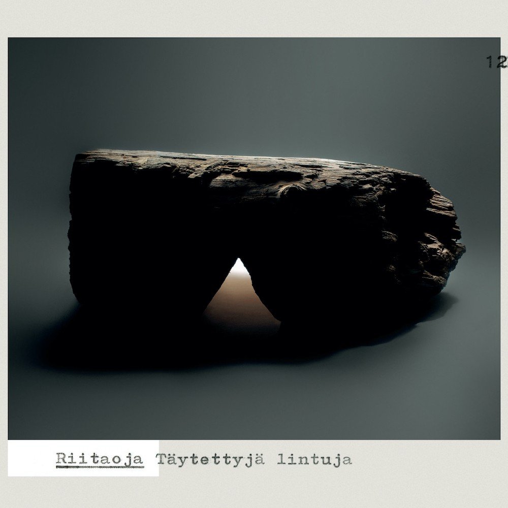 Riitaoja: Täytettyjä lintuja (CD)