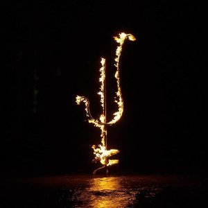 Demon Head: Hellfire Ocean Void (frosty LP)