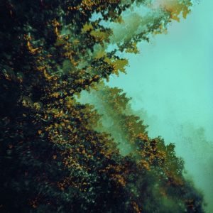 Polymoon: Caterpillars of Creation (LP)