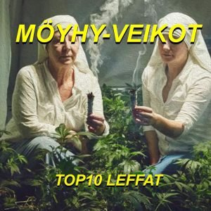 Möyhy-Veikot : TOP 10 leffat (LP)