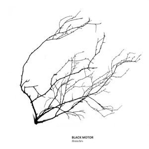 Black Motor: Branches (CD)