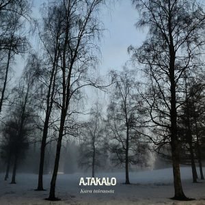 A. Takalo: Kuva taivaasta (LP)
