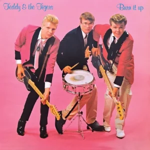 Teddy & The Tigers: Burn It Up! (CD)